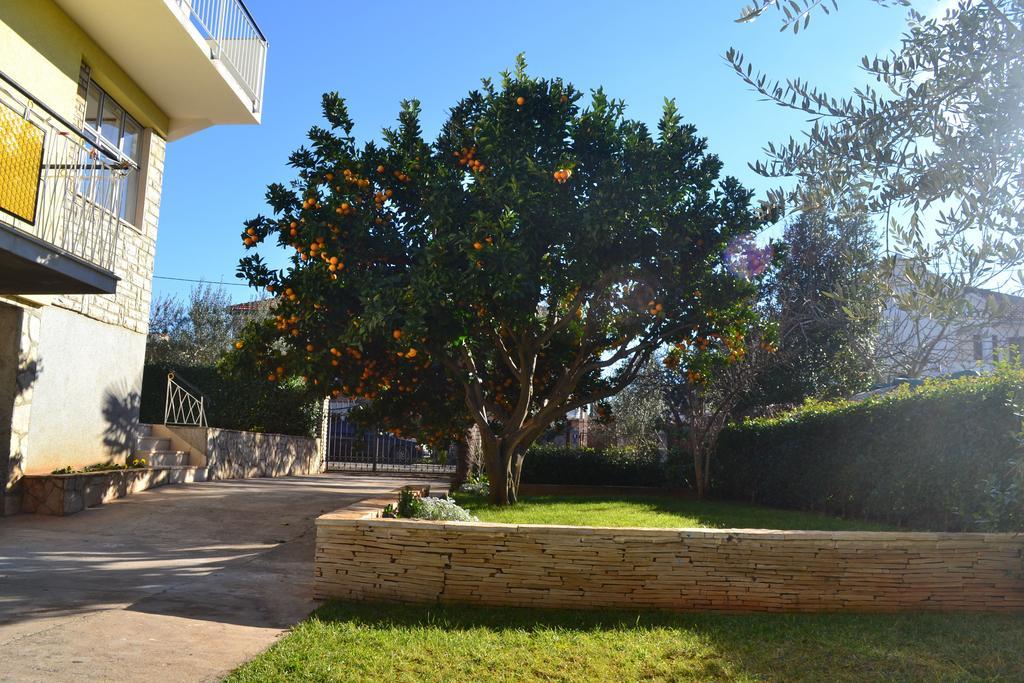 Apartments Angie زادار الغرفة الصورة